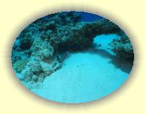 IMG_2007_05_27 15_22_13 * 2238 x 1680 * (598KB)